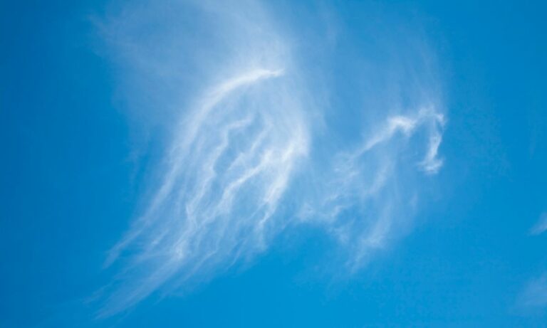 Ask Your Angels a Question