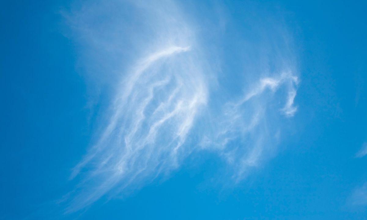 Ask Your Angels a Question